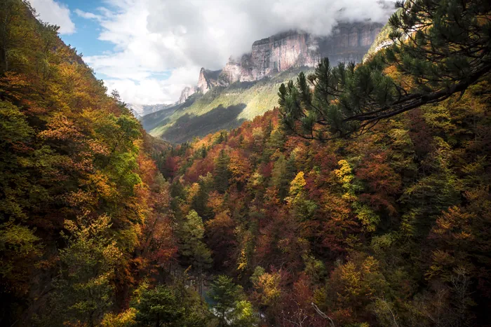 Ordesa en otoño